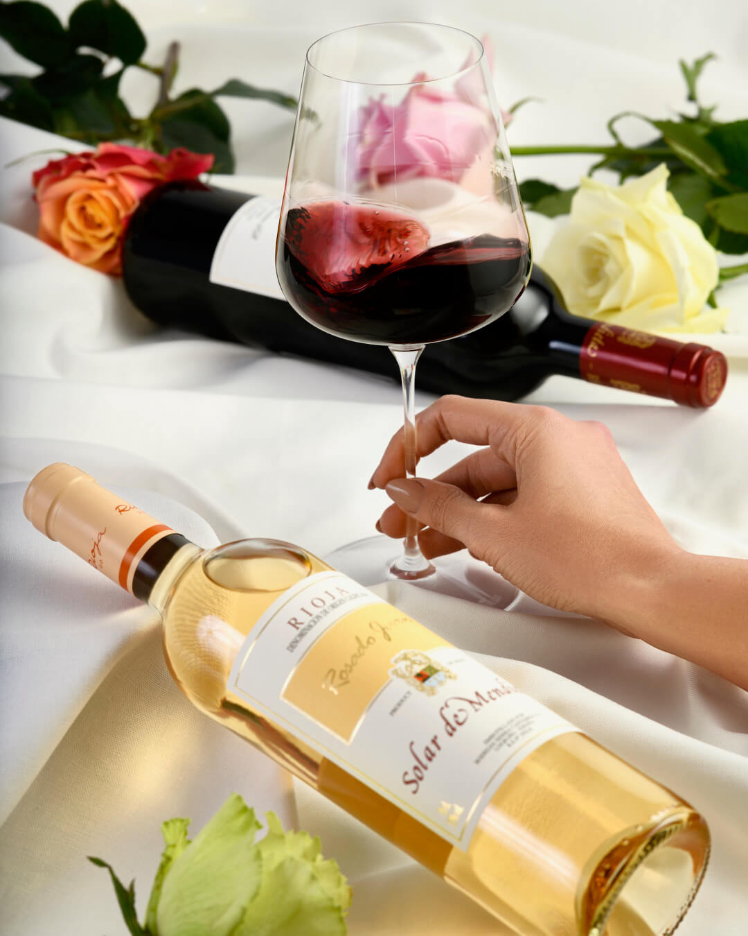 Solar de Mendieta Weine